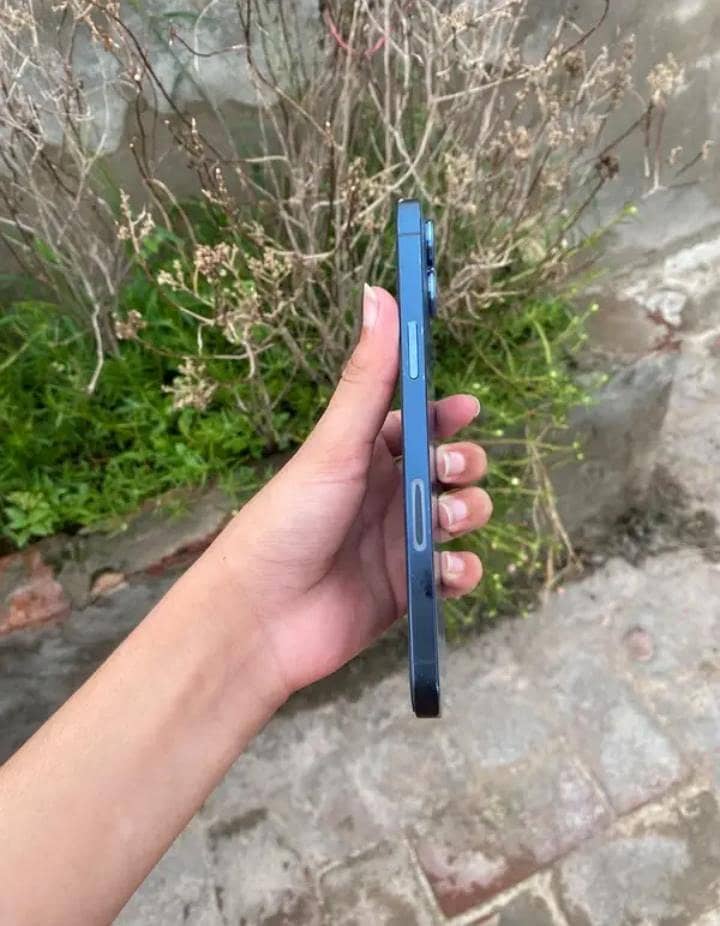 Apple iPhone 12 Pro Max 2
