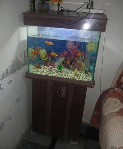 Fish Aquarium For Sale