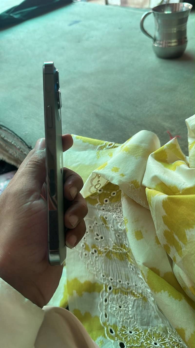 Apple iPhone 13 Pro Max 1