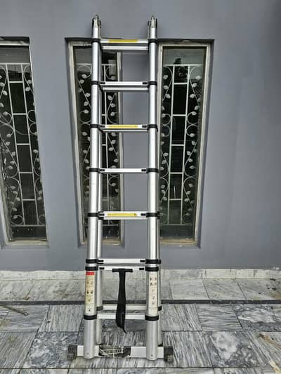 Stainless Steal Imported Ladder