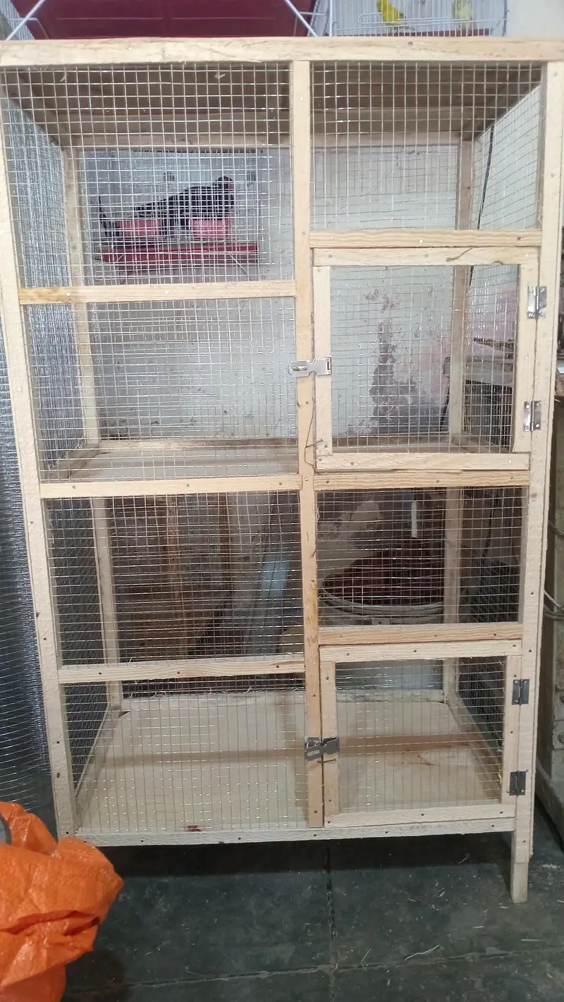 beautiful cage for sale — photo 4