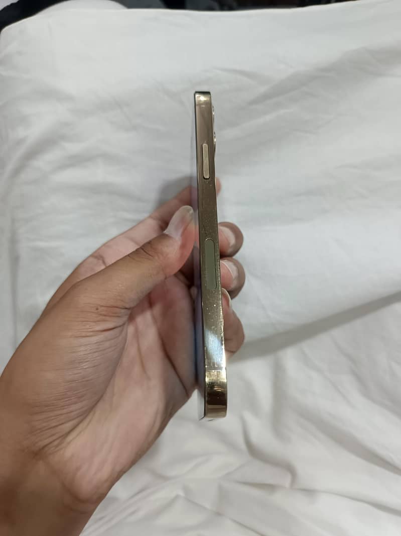Apple iPhone 12pro 1