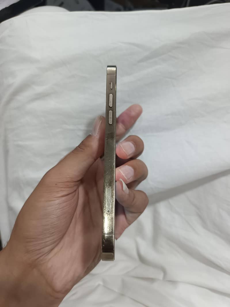 Apple iPhone 12pro 2