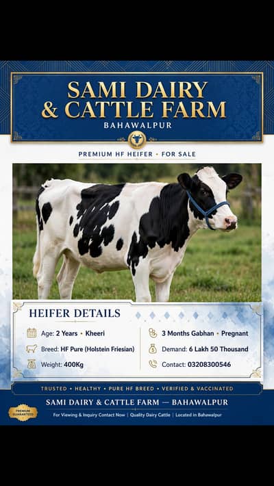 Fresion cows 03208300546