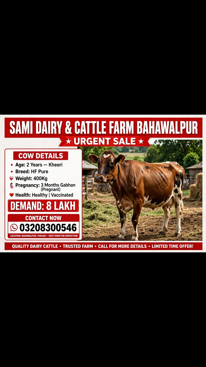 Fresion cows 03208300546 — photo 2