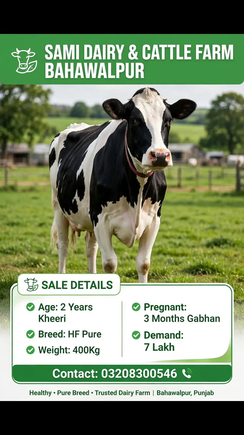 Fresion cows 03208300546 — photo 3