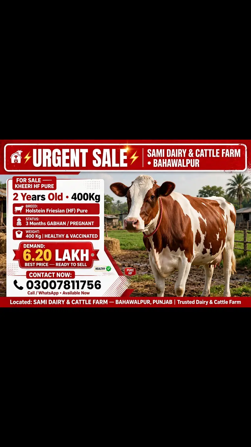 Fresion cows 03208300546 — photo 9