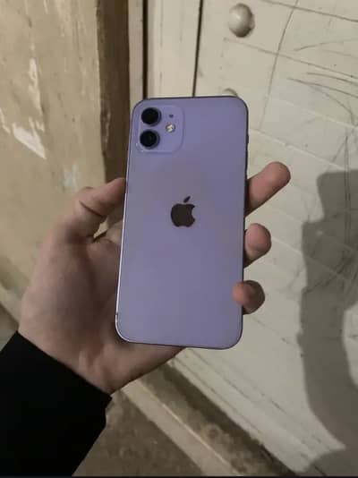 Apple iPhone 12