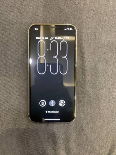 Apple iPhone 12 Pro