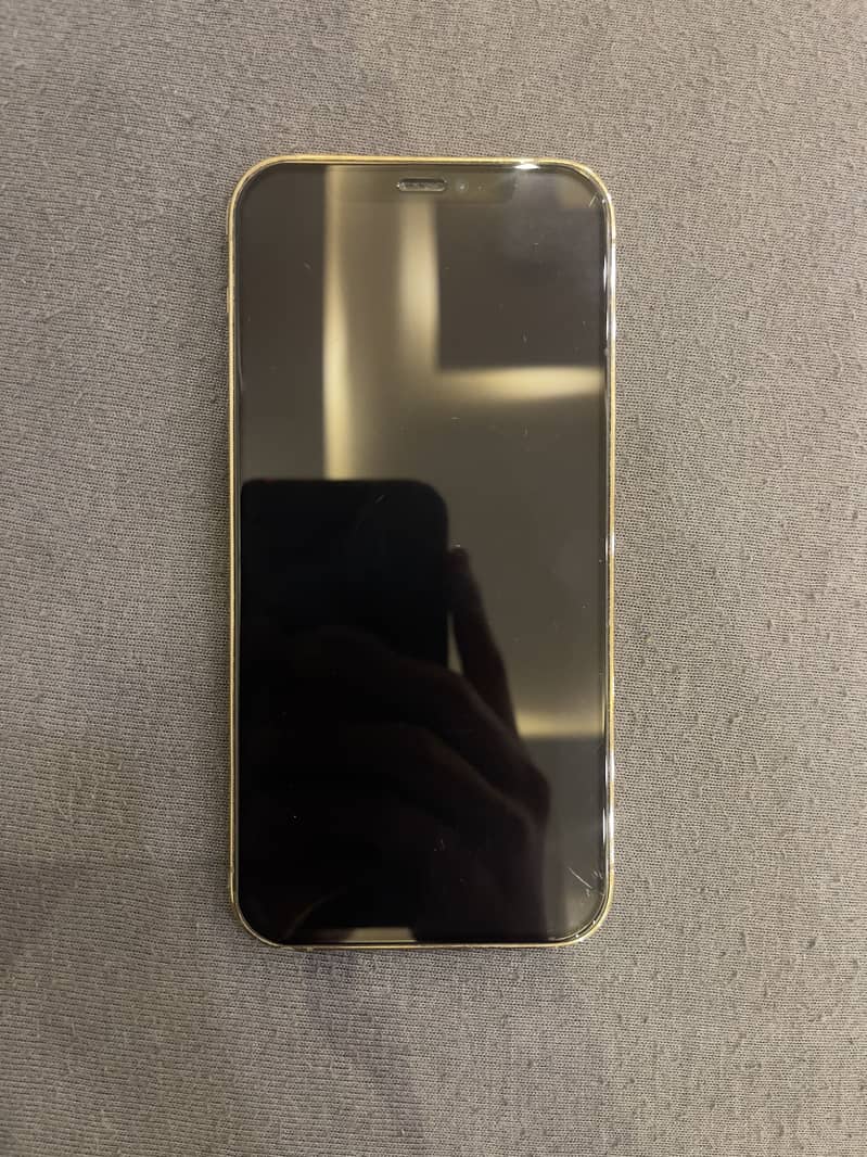 Apple iPhone 12 Pro 2