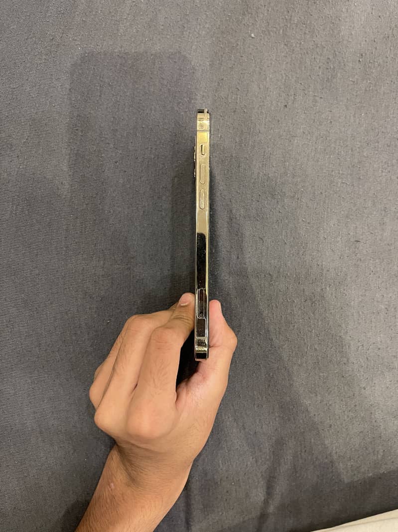 Apple iPhone 12 Pro 3