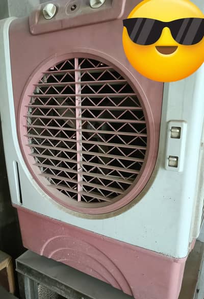 12volt dc cooler