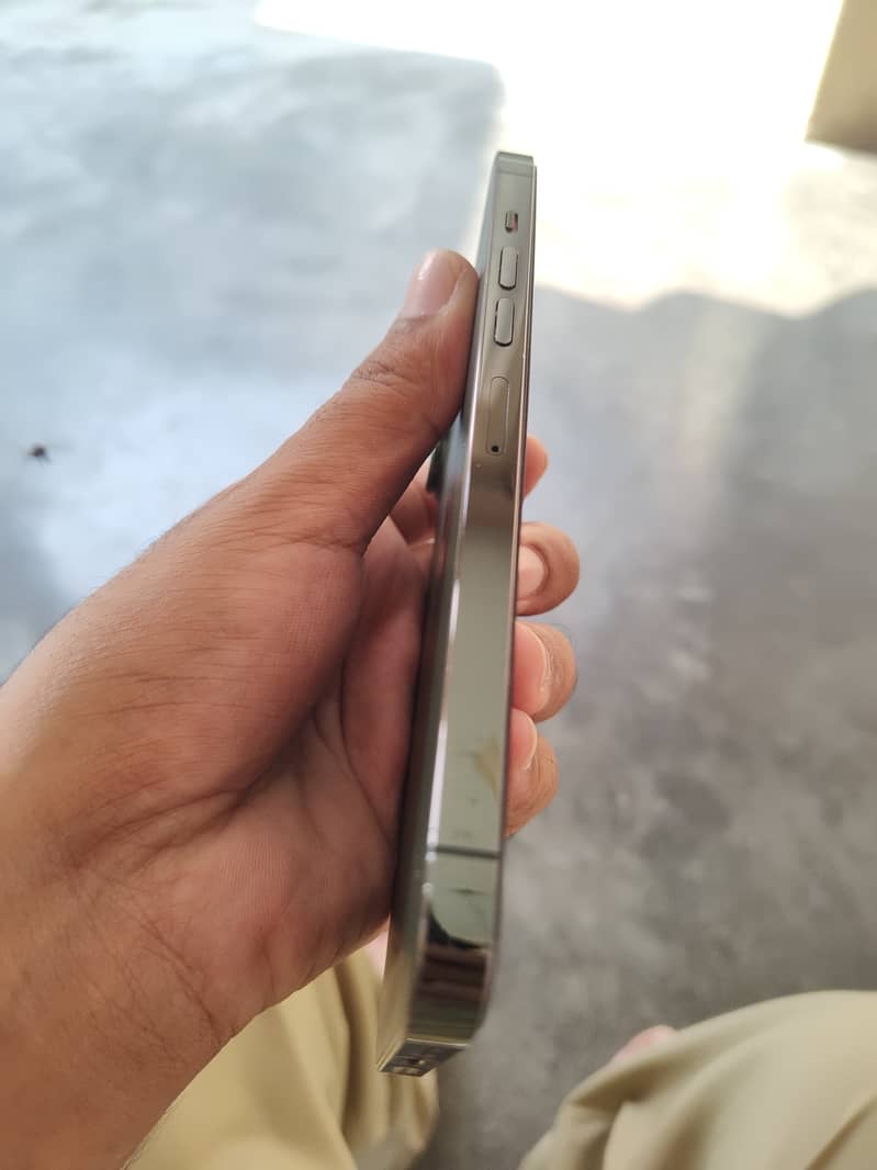 Apple iPhone 13 Pro Max 1