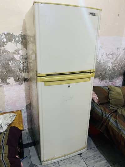 Orient L size fridge