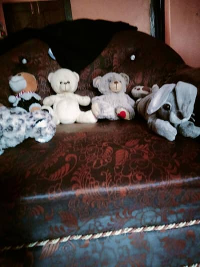 teady bear
