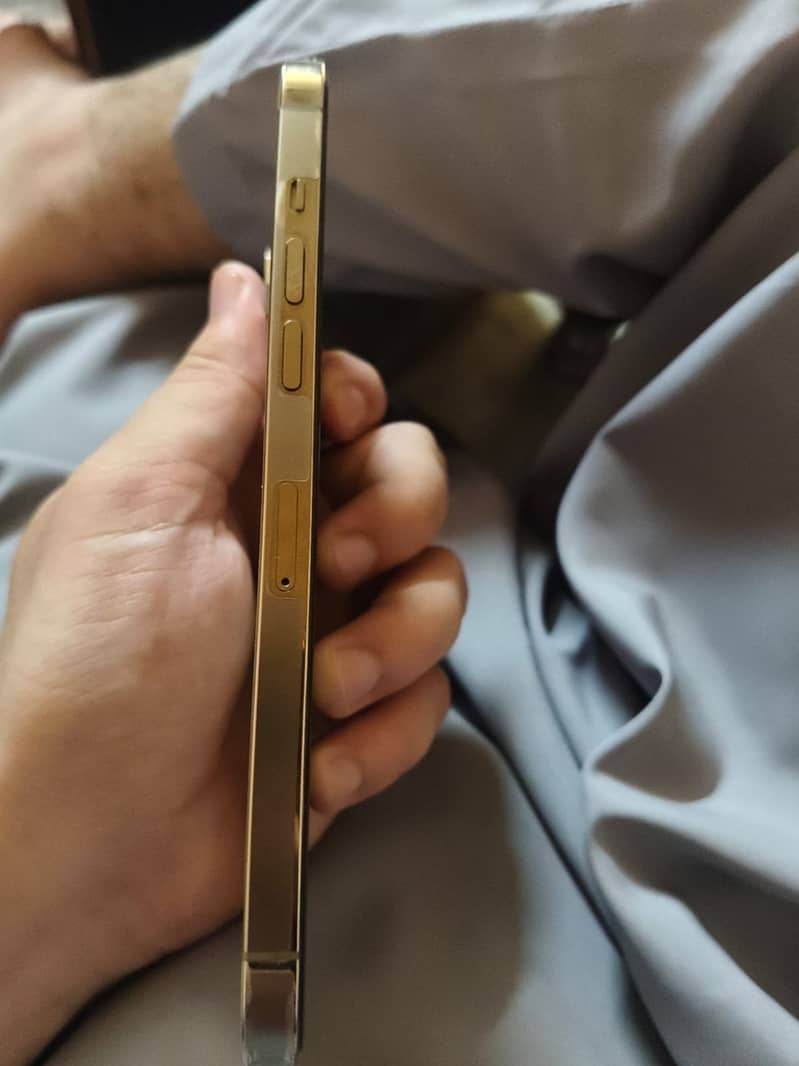 Apple iPhone 12 Pro Max 1