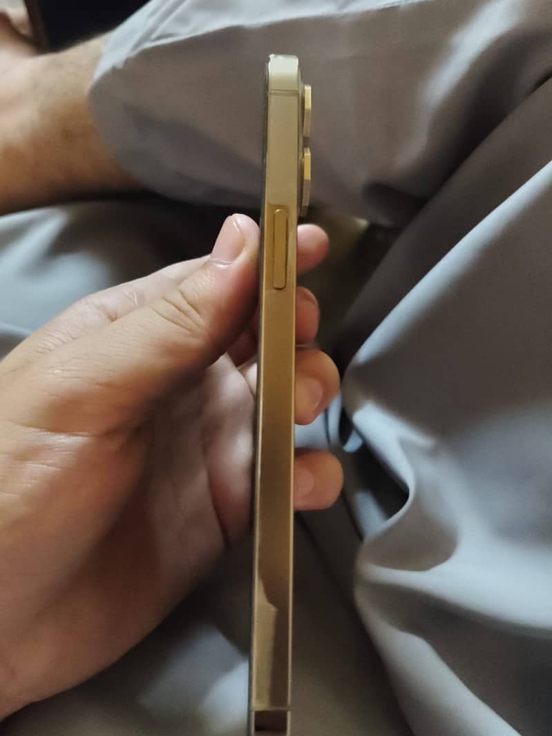 Apple iPhone 12 Pro Max 2