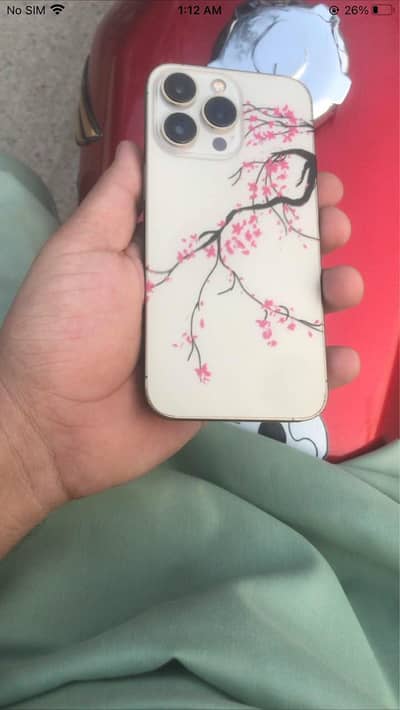 Iphone 13Pro