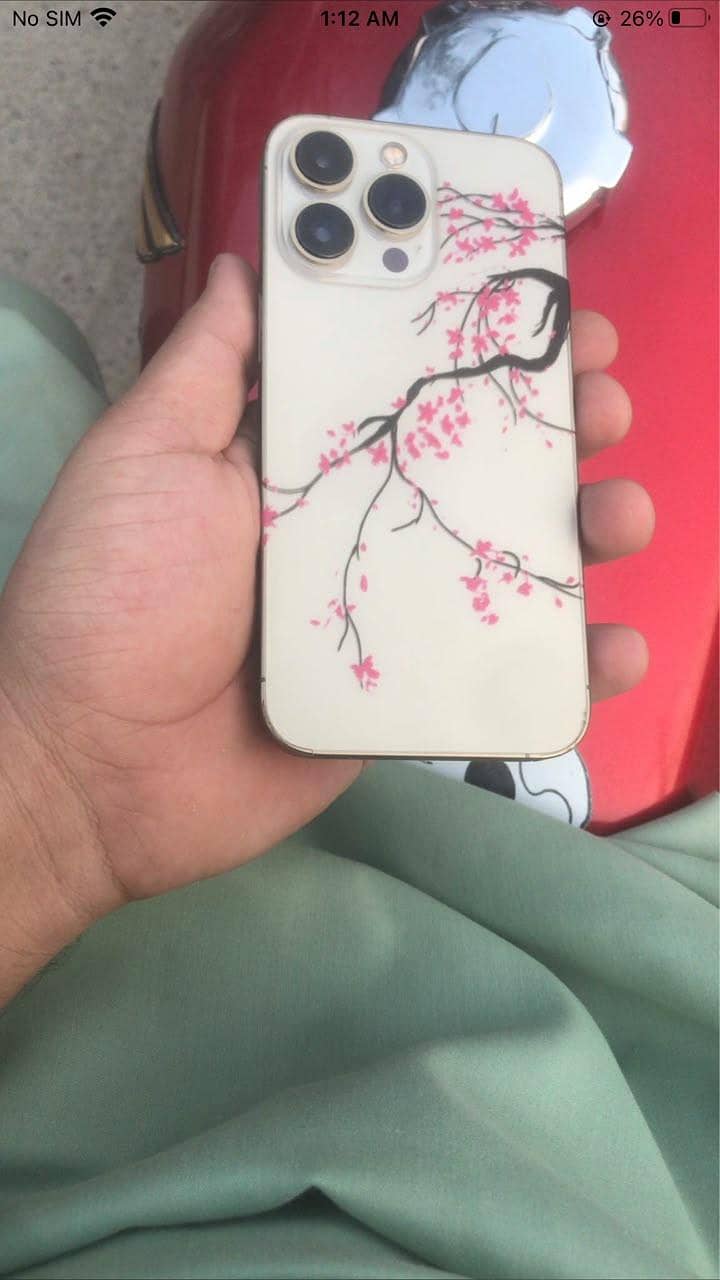 Iphone 13Pro 0