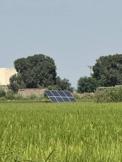 864 Kanal Agricultural Land for Sale in Kachi Kothi, Changa Manga.   Land is fully ready for rice farming
