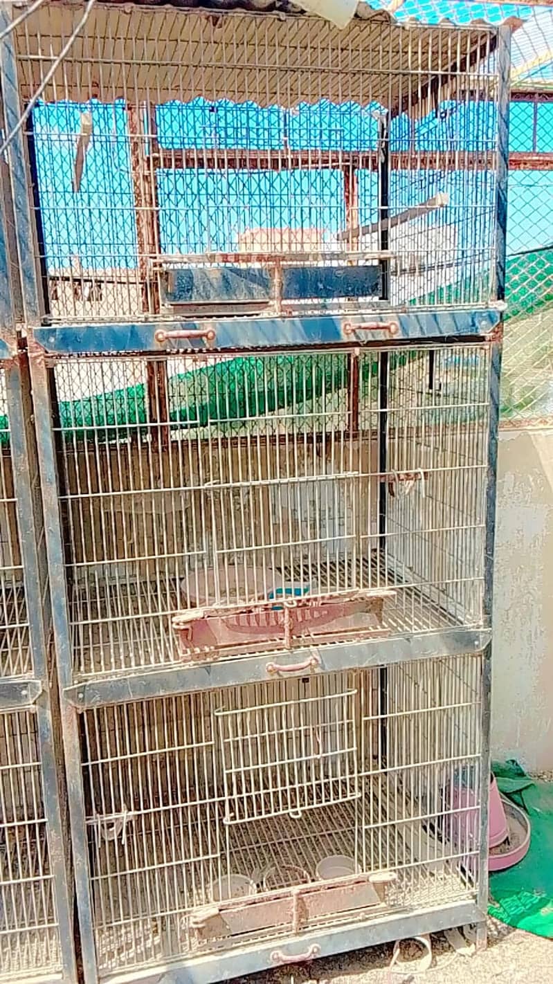 USED CAGE 1