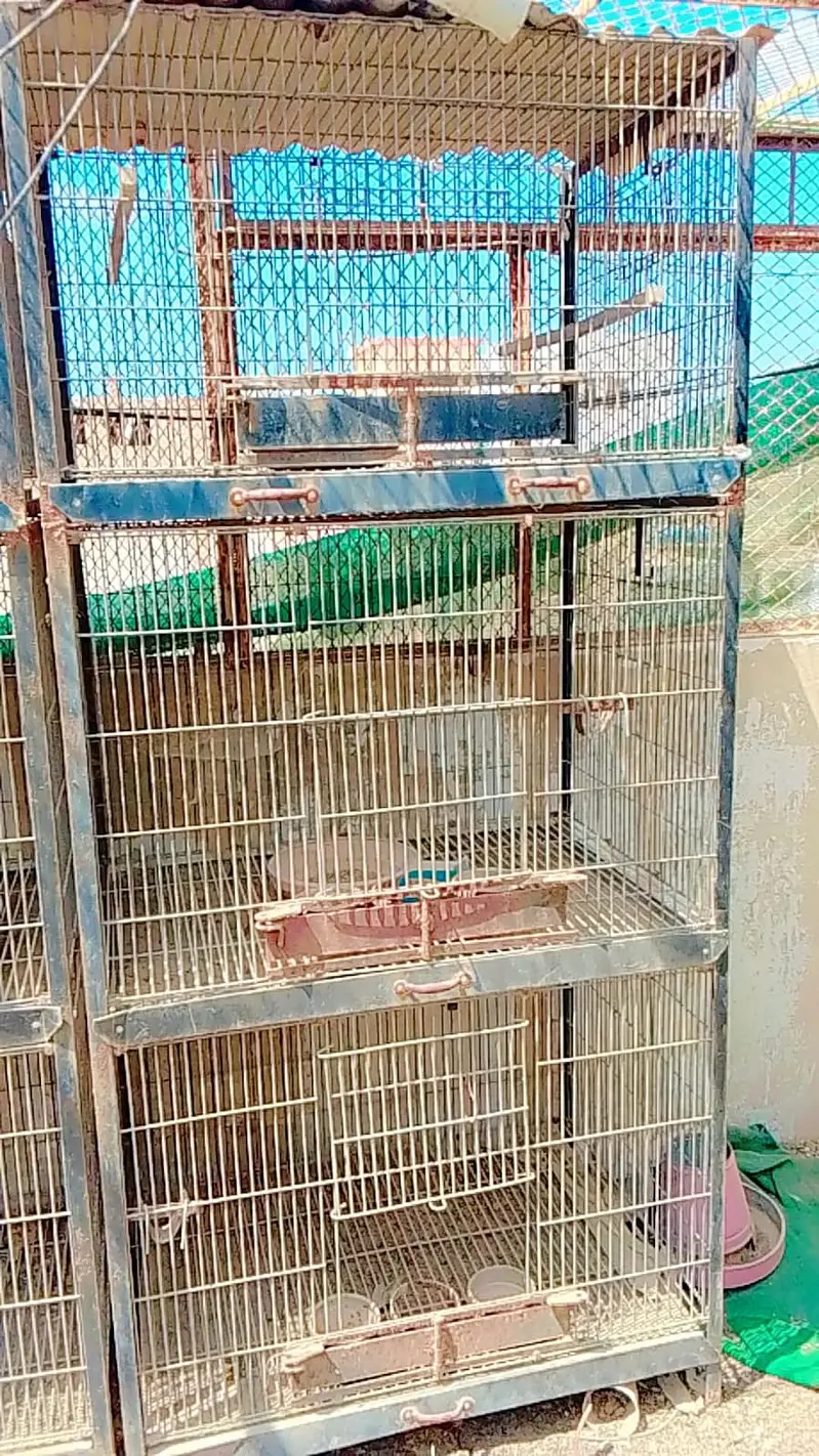 USED CAGE — photo 2