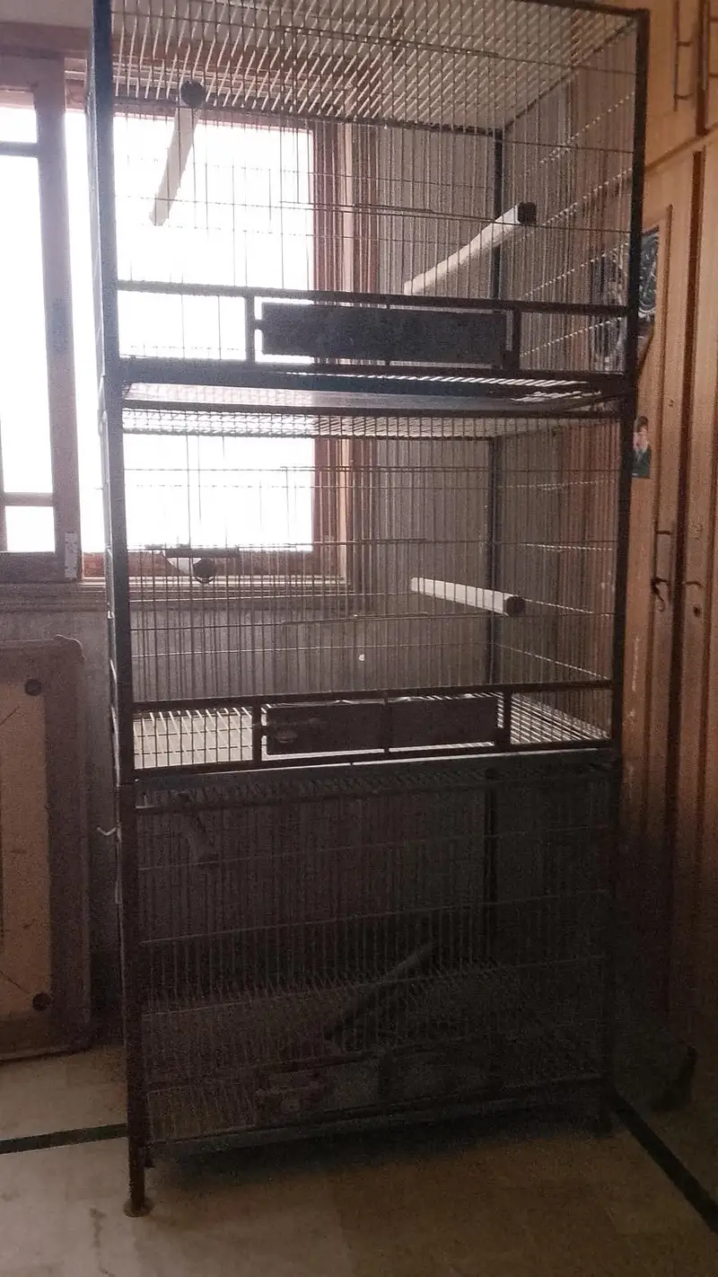USED CAGE — photo 3
