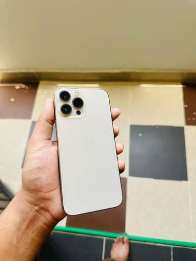 Apple iPhone 13 Pro Max