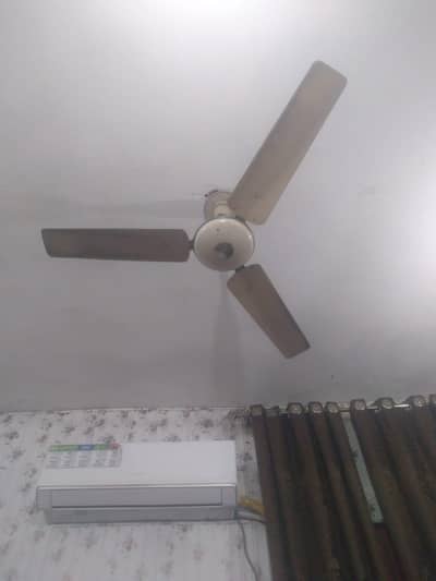Fan for sales