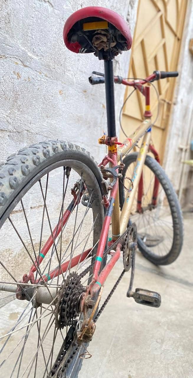 BICYCLE 1