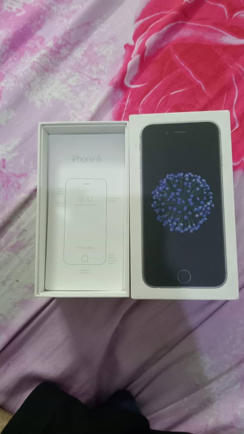 Apple iPhone 6 5