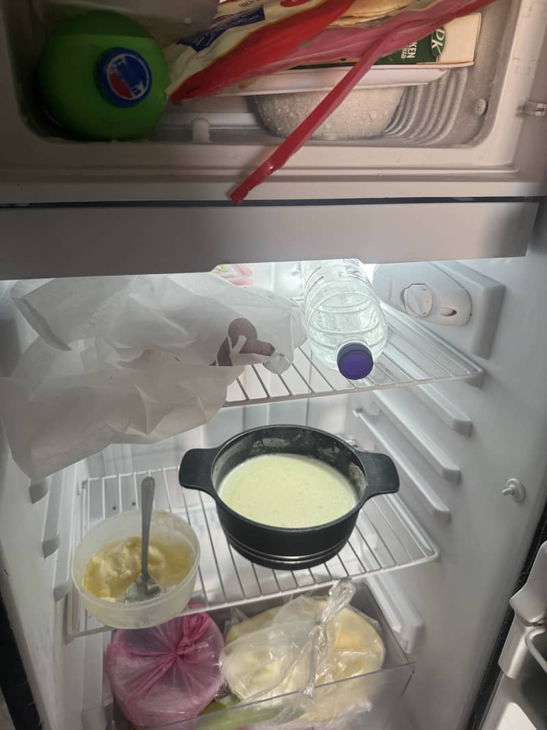 Mini Fridge 3