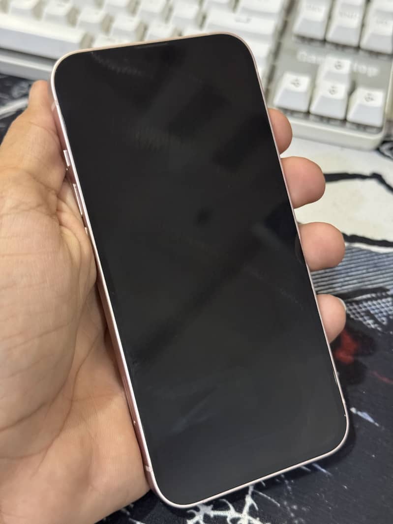 Apple iPhone 13 0