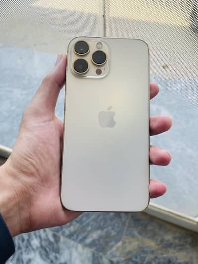 Apple iPhone 13 Pro Max