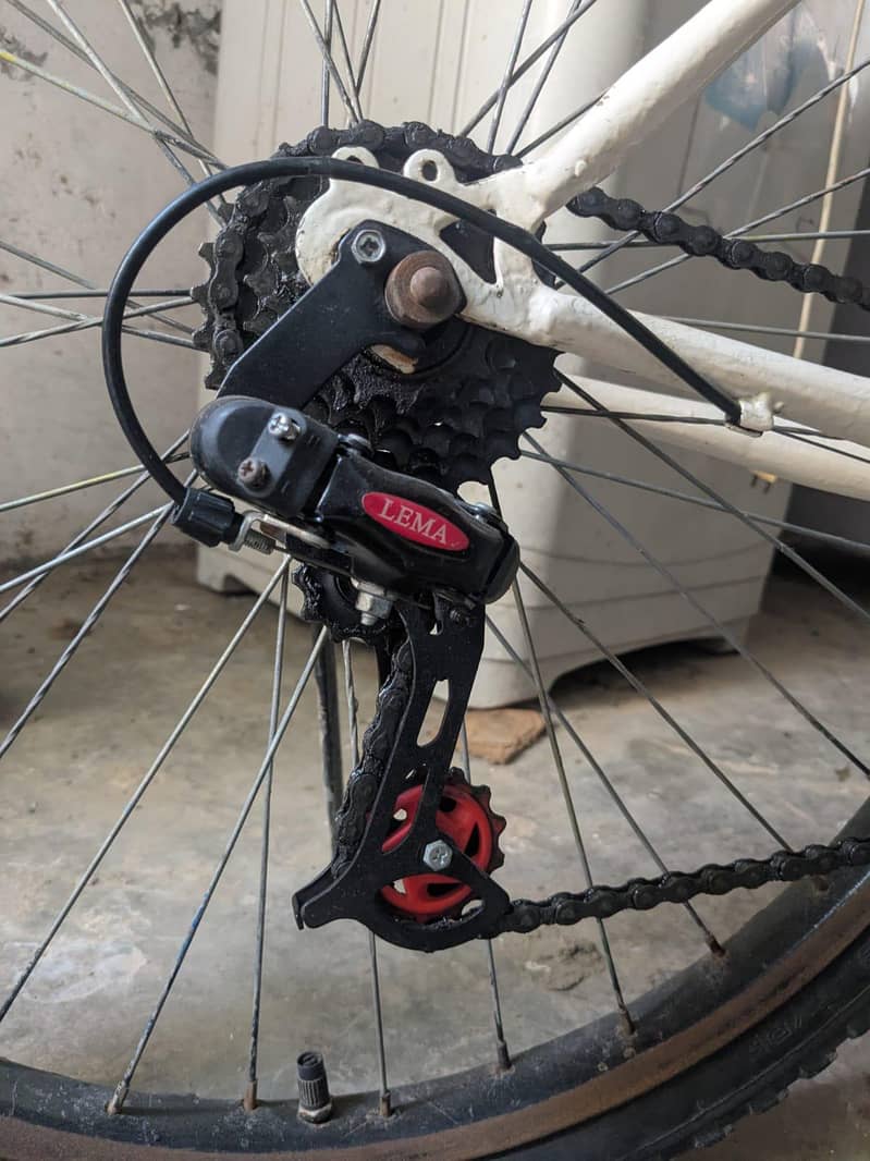 Cycle 1