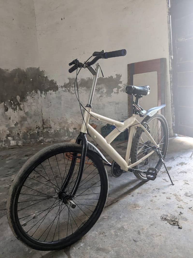 Cycle 4