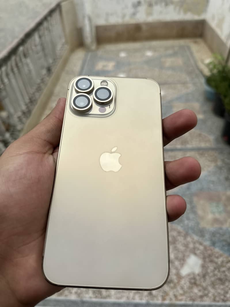 Apple iPhone 13 Pro Max 0
