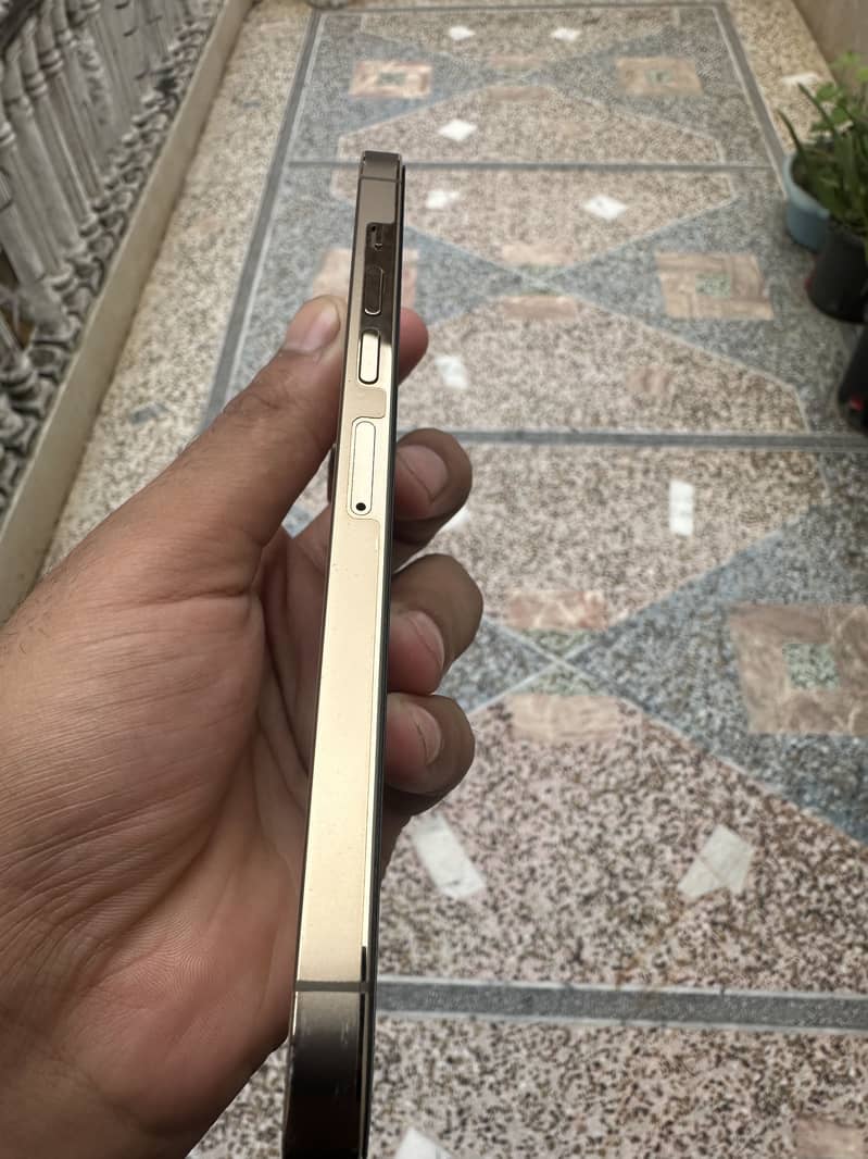 Apple iPhone 13 Pro Max 2