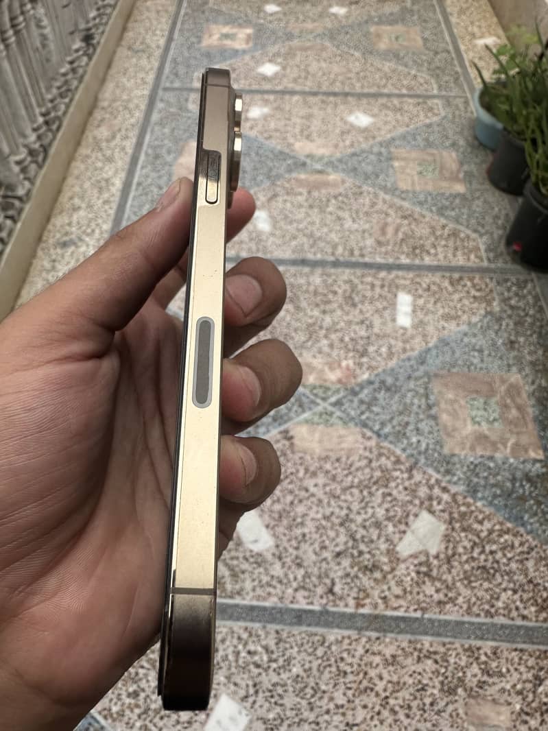 Apple iPhone 13 Pro Max 5