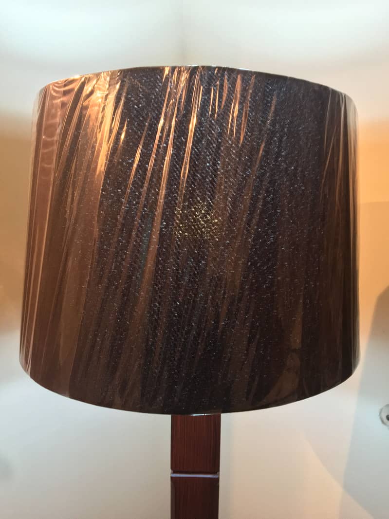 Floor Lamp almost new 1