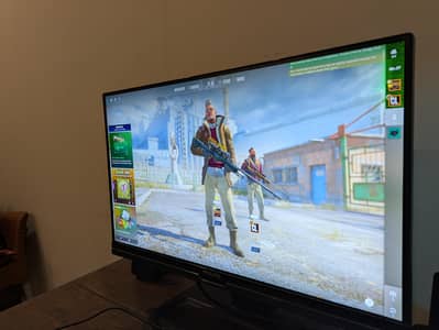 Philips 22" IPS 60 hz monitor with webcam