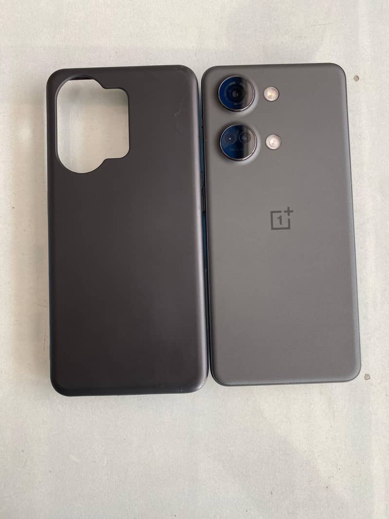 One Plus Other Model 1