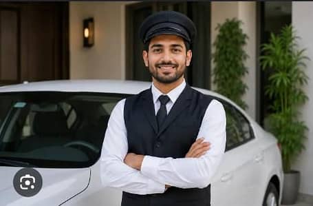 Professional Driver 20 years Exp Need a JOB