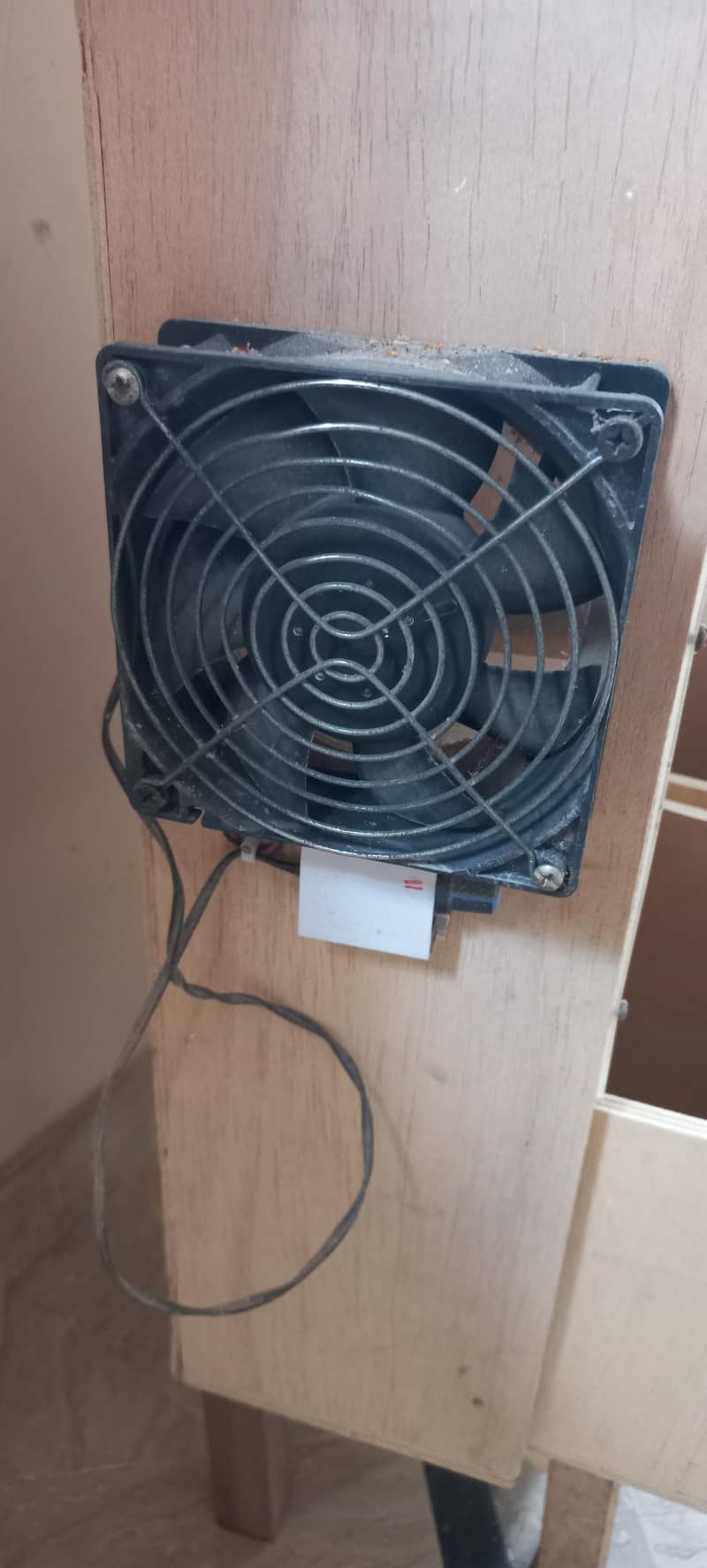 Dana Cleaning Machine / Java Bajree Hundia 2