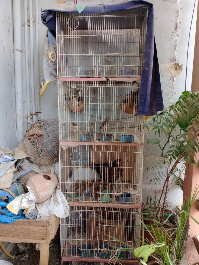Large Cage 0