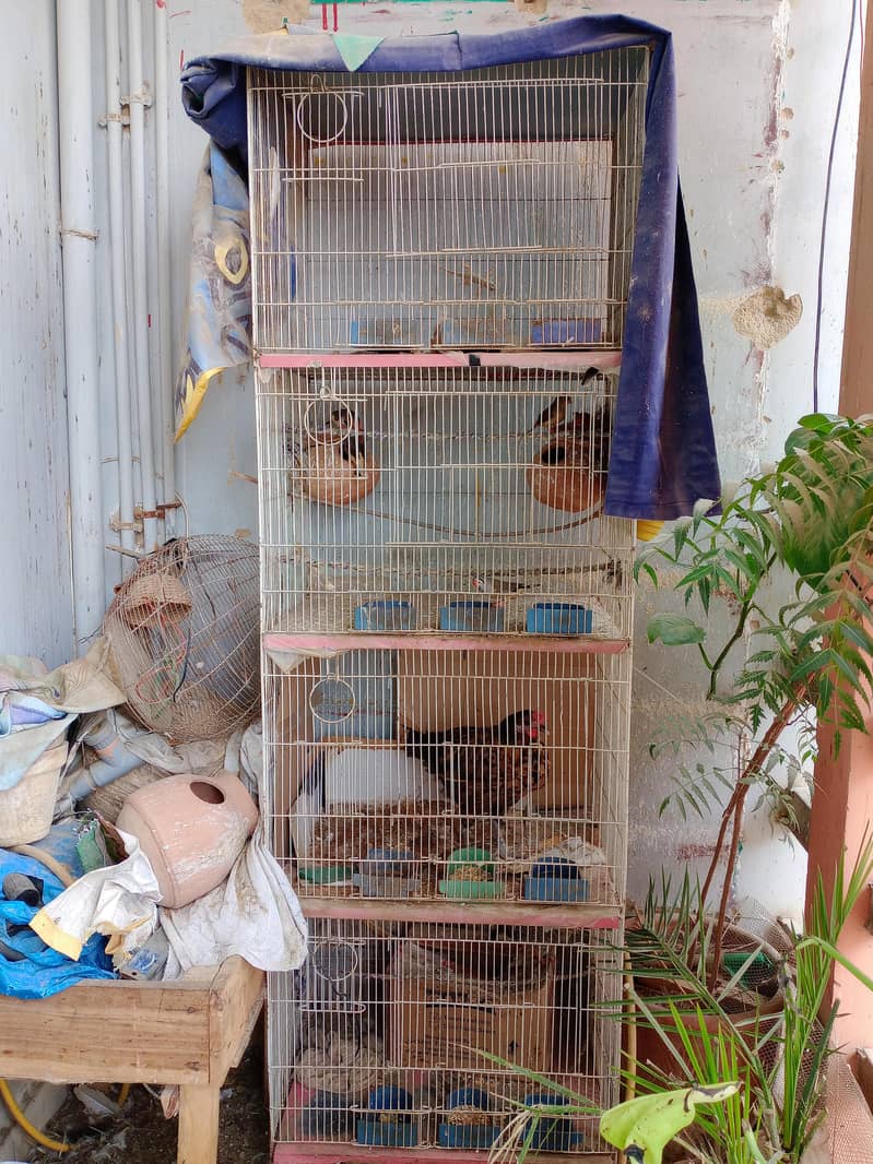 Large Cage 1