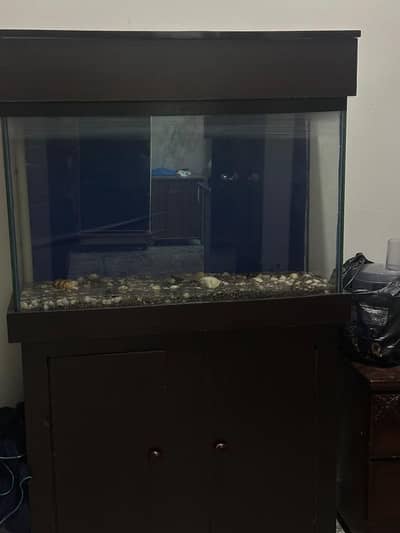  Beautiful Aquarium for Sale – Ready to Setup