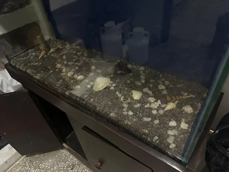  Beautiful Aquarium for Sale – Ready to Setup — photo 2
