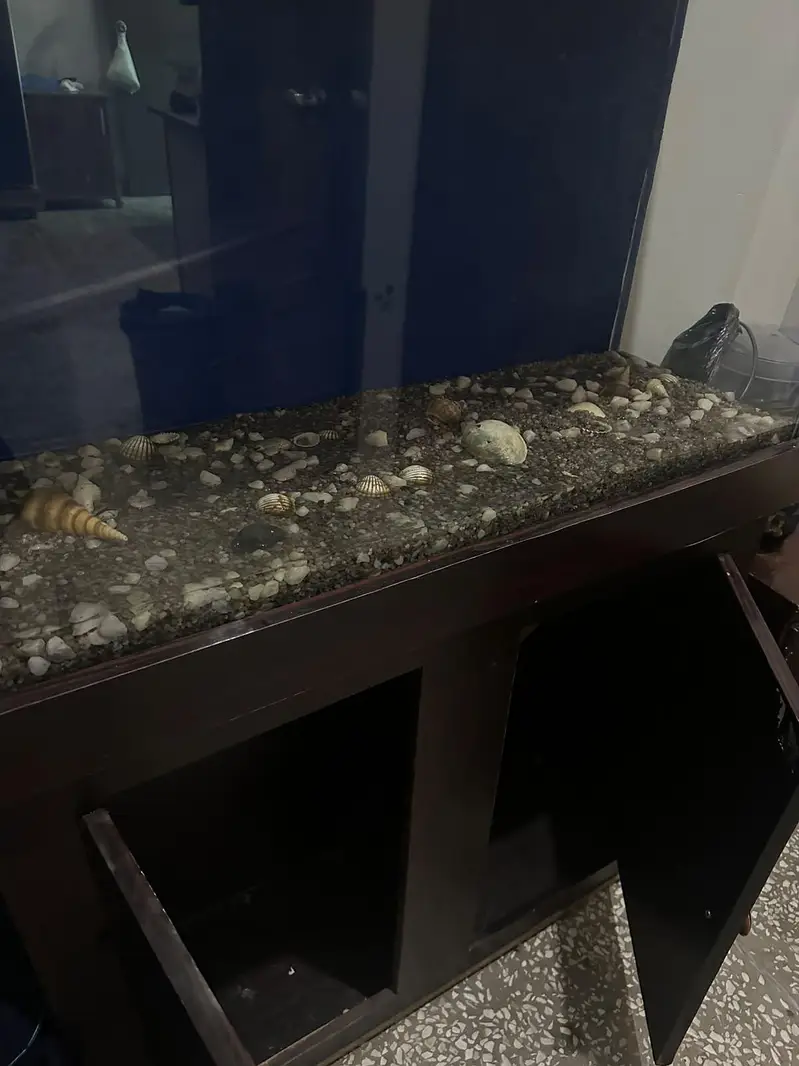  Beautiful Aquarium for Sale – Ready to Setup — photo 4