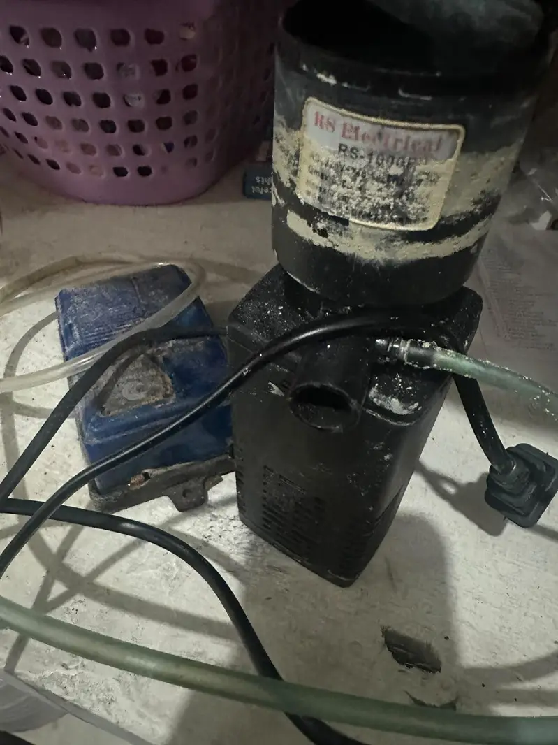  Beautiful Aquarium for Sale – Ready to Setup — photo 7
